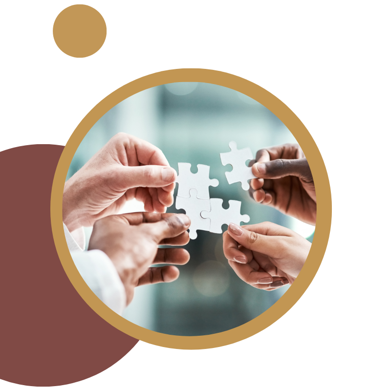 موقع سيركلز 12 (1)